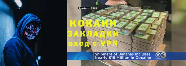 крисы Козловка
