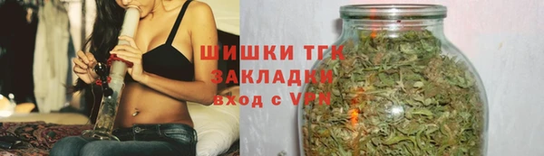 гашик Костерёво