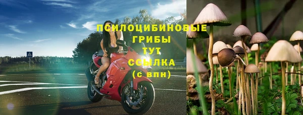 таблы Козельск