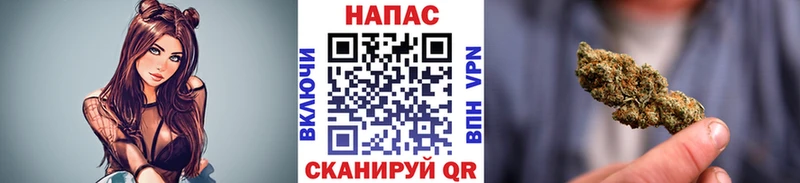 Конопля гибрид  Лыткарино 